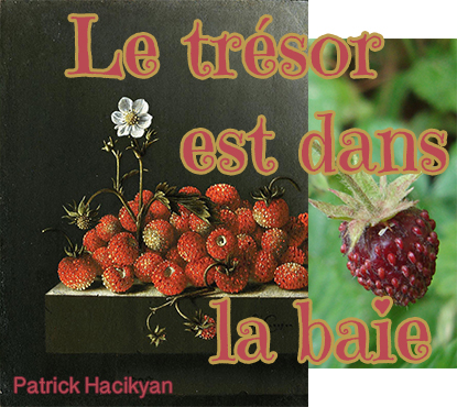 Fraises du terroir
